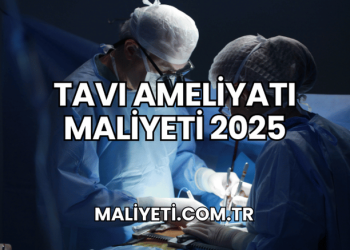 TAVI Ameliyatı Maliyeti 2025