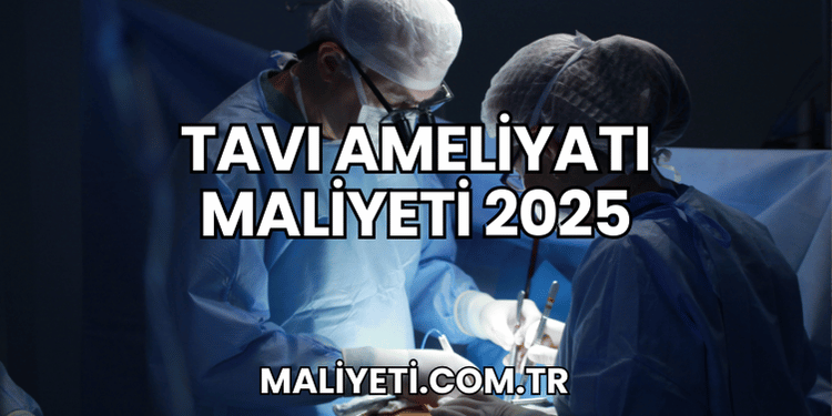 TAVI Ameliyatı Maliyeti 2025