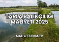 Tarla Balıkçılığı Maliyeti 2025