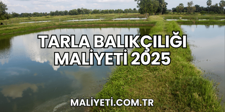 Tarla Balıkçılığı Maliyeti 2025