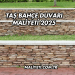 Taş Bahçe Duvarı Maliyeti 2025