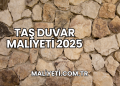 Taş Duvar Maliyeti 2025