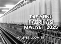 Taş Yünü Fabrikası Maliyeti 2025