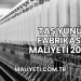 Taş Yünü Fabrikası Maliyeti 2025