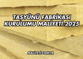 Taşyünü Fabrikası Kurulumu Maliyeti 2025