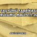 Taşyünü Fabrikası Kurulumu Maliyeti 2025