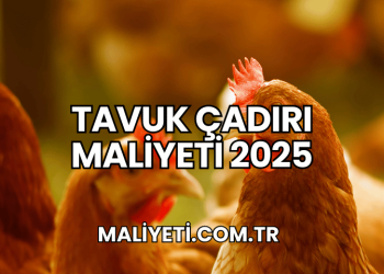 Tavuk Çadırı Maliyeti 2025