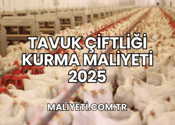 Tavuk Çiftliği Kurma Maliyeti 2025