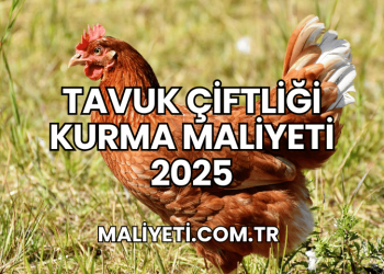 Tavuk Çiftliği Kurma Maliyeti 2025