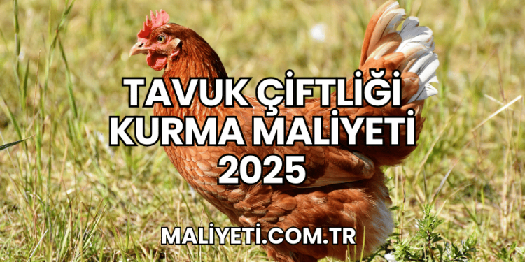 Tavuk Çiftliği Kurma Maliyeti 2025