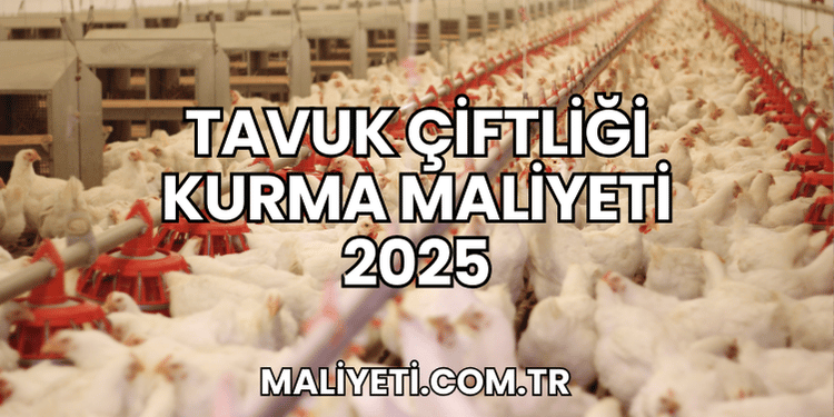 Tavuk Çiftliği Kurma Maliyeti 2025