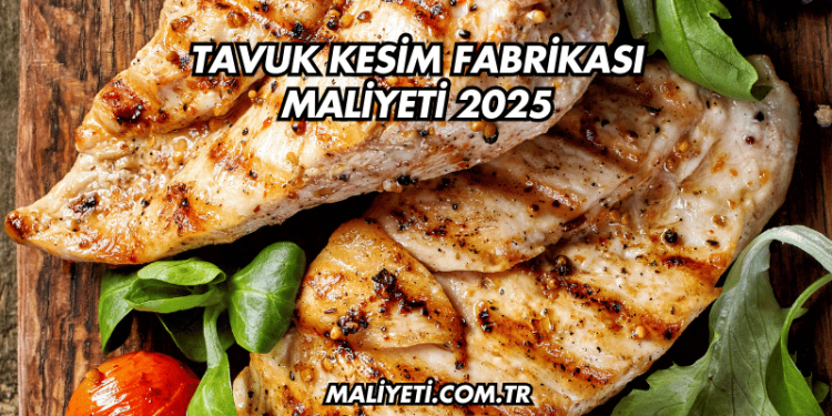 Tavuk Kesim Fabrikası Maliyeti 2025