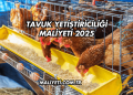 Tavuk Yetiştiriciliği Maliyeti 2025