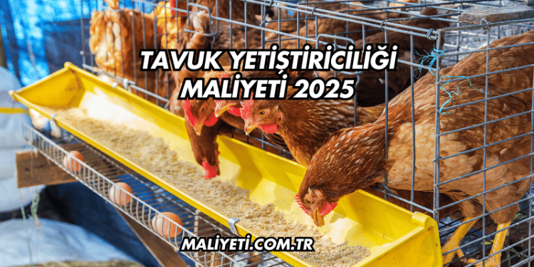 Tavuk Yetiştiriciliği Maliyeti 2025