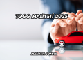 Togg Maliyeti 2025