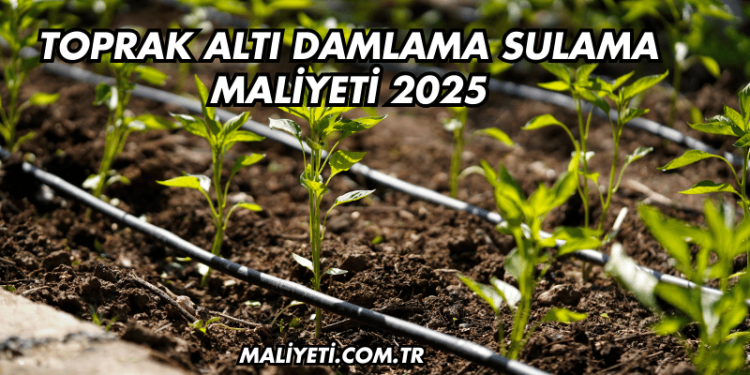 Toprak Altı Damlama Sulama Maliyeti 2025