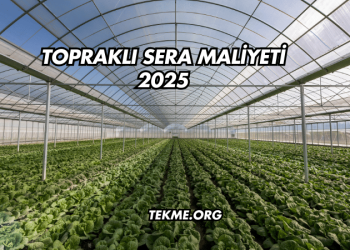 Topraklı Sera Maliyeti 2025