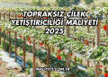 Topraksız Çilek Yetiştiriciliği Maliyeti 2025