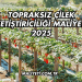 Topraksız Çilek Yetiştiriciliği Maliyeti 2025