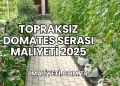 Topraksız Domates Serası Maliyeti 2025