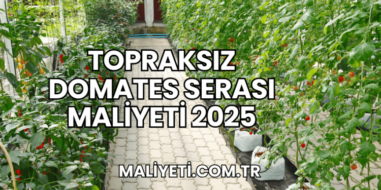 Topraksız Domates Serası Maliyeti 2025