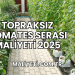 Topraksız Domates Serası Maliyeti 2025