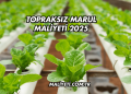 Topraksız Marul Maliyeti 2025