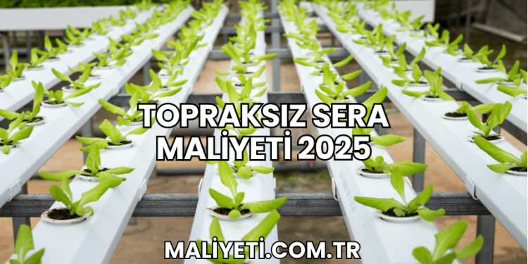 Topraksız Sera Maliyeti 2025