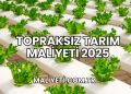 Topraksız Tarım Maliyeti 2025