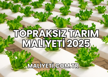 Topraksız Tarım Maliyeti 2025