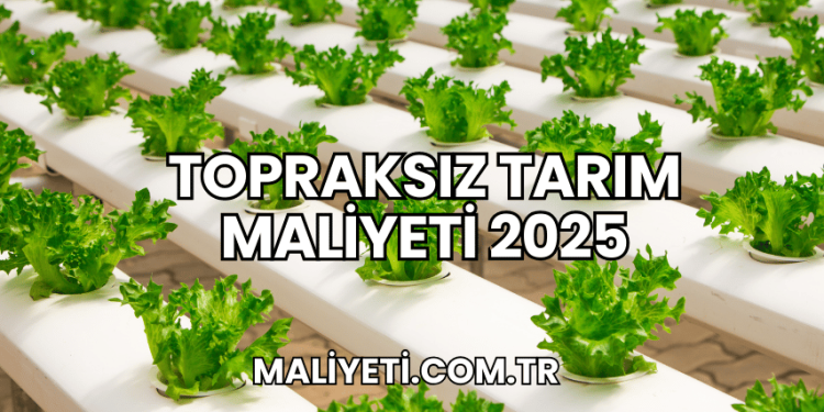 Topraksız Tarım Maliyeti 2025