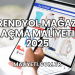 Trendyol Mağaza Açma Maliyeti 2025