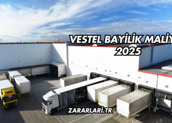 Vestel Bayilik Maliyeti 2025