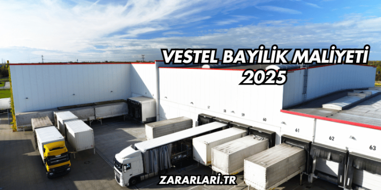 Vestel Bayilik Maliyeti 2025
