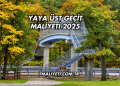 Yaya Üst Geçit Maliyeti 2025