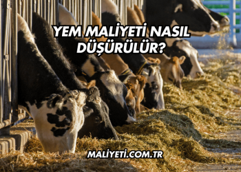 Tek Katlı Ev Temel Maliyeti 2025