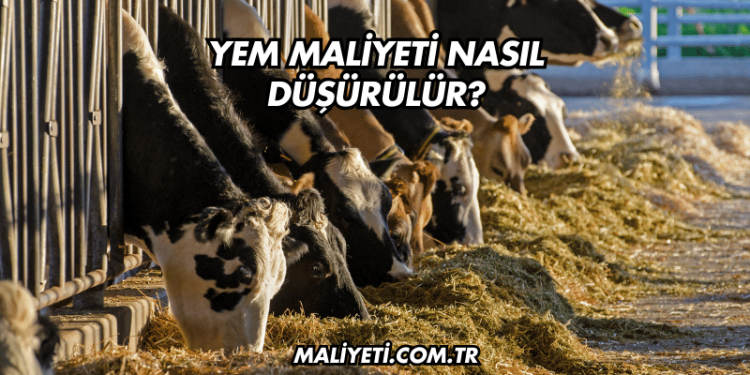 Tek Katlı Ev Temel Maliyeti 2025