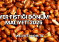 Yer Fıstığı Dönüm Maliyeti 2025