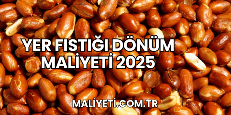 Yer Fıstığı Dönüm Maliyeti 2025