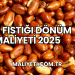 Yer Fıstığı Dönüm Maliyeti 2025