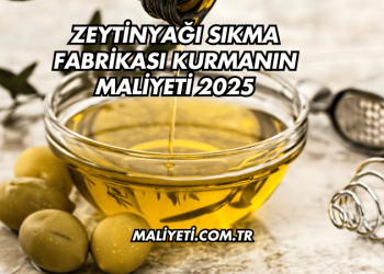 Zeytinyağı Sıkma Fabrikası Kurmanın Maliyeti 2025