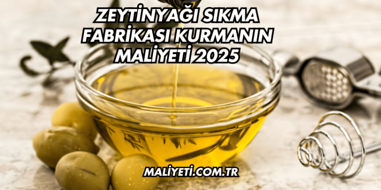 Zeytinyağı Sıkma Fabrikası Kurmanın Maliyeti 2025
