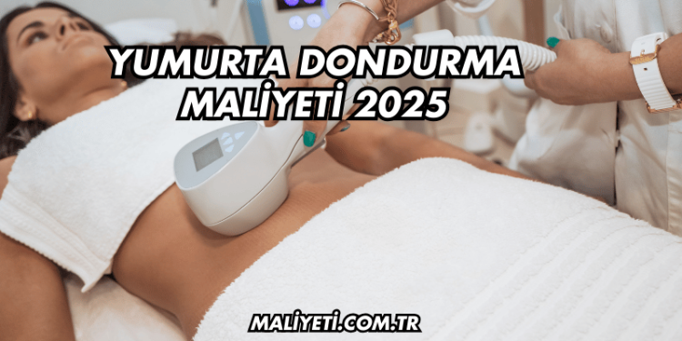 Yumurta Dondurma Maliyeti 2025