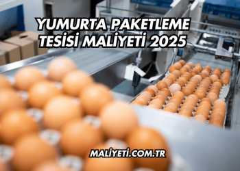 Yumurta Paketleme Tesisi Maliyeti 2025