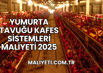 Yumurta Tavuğu Kafes Sistemleri Maliyeti 2025