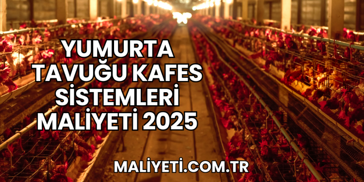 Yumurta Tavuğu Kafes Sistemleri Maliyeti 2025
