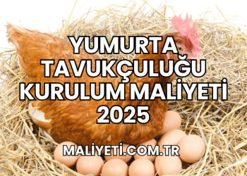 Yumurta Tavukçuluğu Kurulum Maliyeti 2025