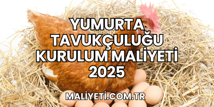 Yumurta Tavukçuluğu Kurulum Maliyeti 2025