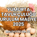 Yumurta Tavukçuluğu Kurulum Maliyeti 2025