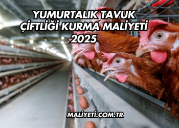 Yumurtalık Tavuk Çiftliği Kurma Maliyeti 2025